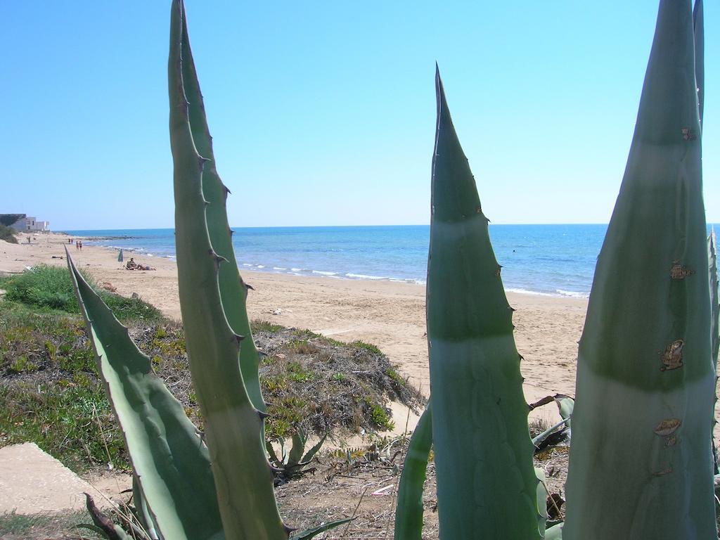 Casa Vacanze Sogno Siciliano 圣克罗切卡梅里纳 外观 照片